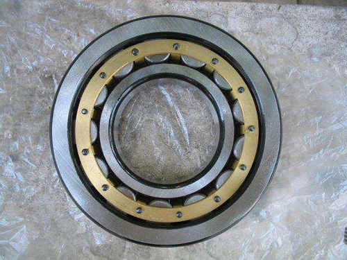 Advanced conveyor idler bearing 6205C3