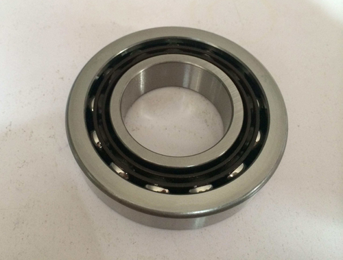 Fancy 6310 2RZ C4 bearing for idler